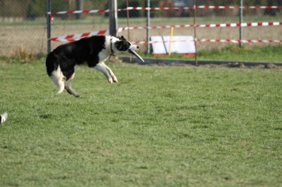 Pics von Robert