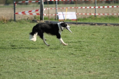 Pics von Robert