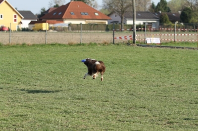 Pics von Robert