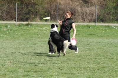 Pics von Robert