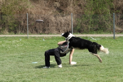 Pics von Robert