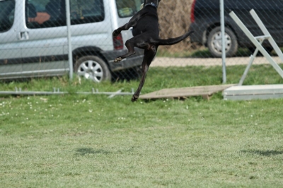 Pics von Robert