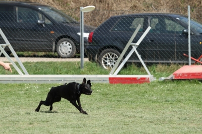 Pics von Robert