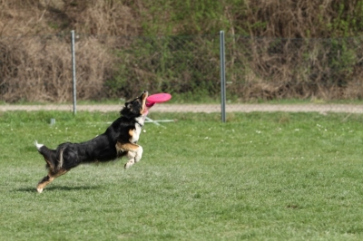 Pics von Robert