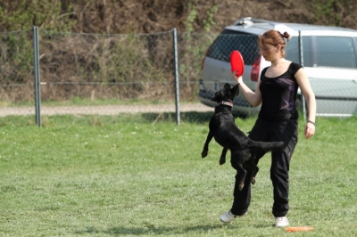 Pics von Robert