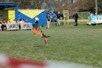 Roberts Pics