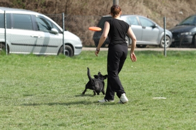 Pics von Robert