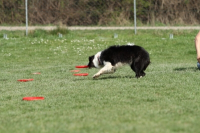 Pics von Robert