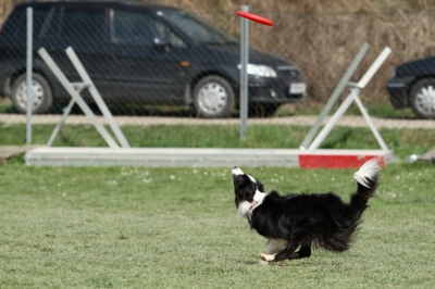 Pics von Robert