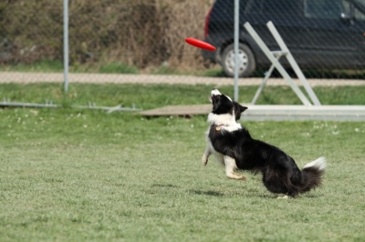Pics von Robert