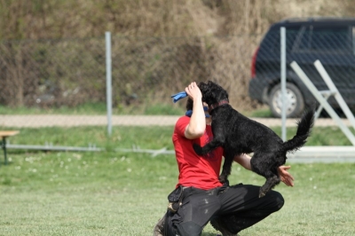Pics von Robert