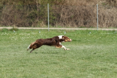 Pics von Robert