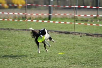 Pics von Robert